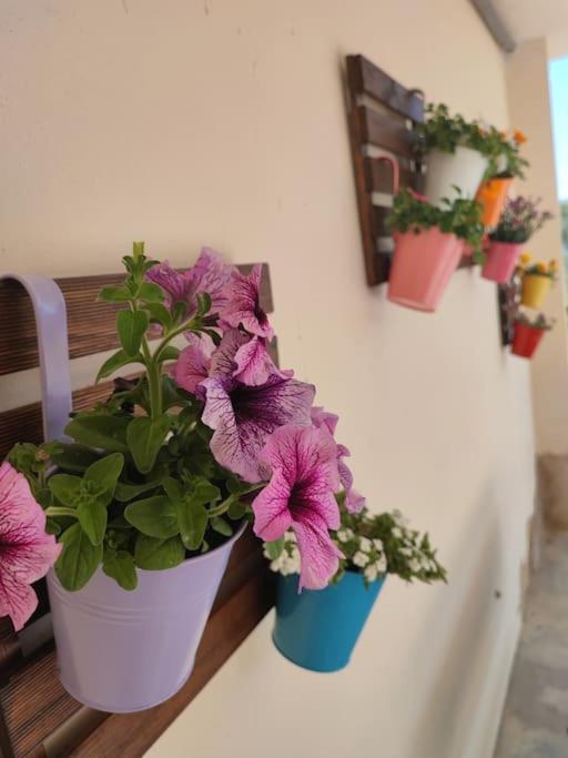 Apartment With Pool In The Mountains. - Alicante — Photos 3